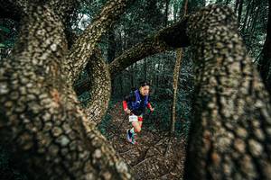 BIB: 
                            <button type="button" onclick="openModal(25394098)" class="btn btn-primary btn-sm float-right btn-popup" data-toggle="modal" data-target=".modal-high-quality">
                        <i class="fas fa-shopping-cart"></i> Add to Cart
                    </button>
                                            <button type="button" onclick="isThisMe(25394098, true)" class="btn btn-success btn-sm float-right btn-popup btn-isme hidden" data-toggle="tooltip" data-placement="bottom" title="นี่คือรูปของคุณใช่ไหม คลิกที่นี่เพื่อเอาเข้าอัลบั้ม">
                        <i class="fas fa-plus"></i> Add to album
                    </button>
                    <button type="button" onclick="isThisMe(25394098, false)" class="btn btn-warning btn-sm float-right btn-popup btn-isnotme hidden">
                        <i class="fas fa-ban"></i> Remove from album
                    </button>